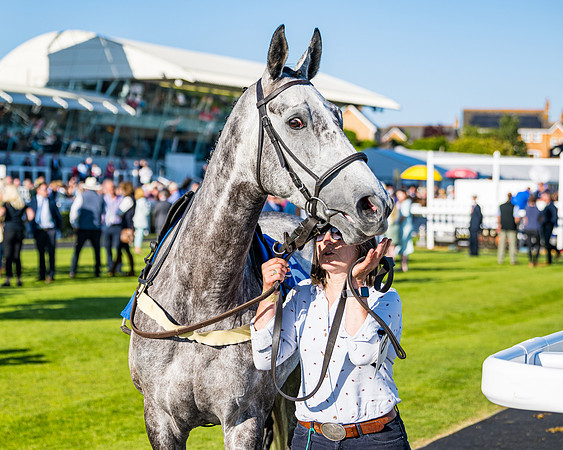 Race 3 - John Corbet Cup (21 of 127)