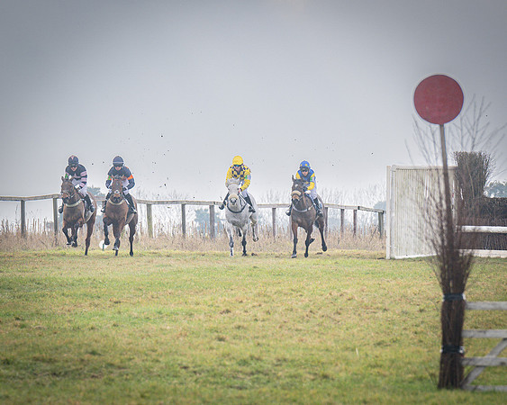 Pony Race 2 (6 of 79)