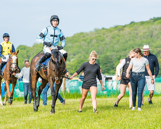 Race 6 - Open Maiden (261 of 346)