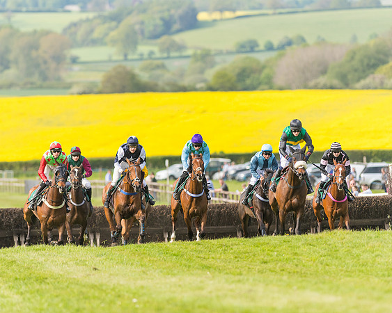 Race 5 - Restricted  (65 of 164)