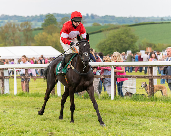 Race 6 = Maiden (17 of 187)
