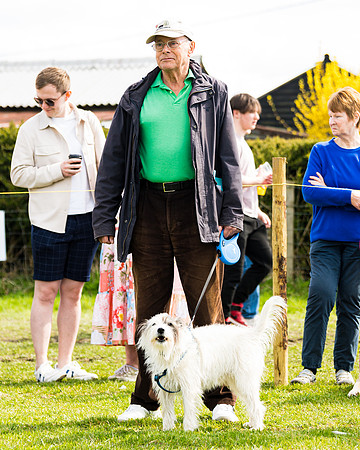 Dog show etc (123 of 157)