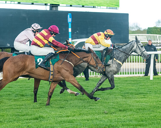 Race 5 - Mares Open  (148 of 329)