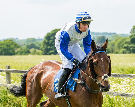 Race 2 - PPORA Novice Riders (158 of 444)