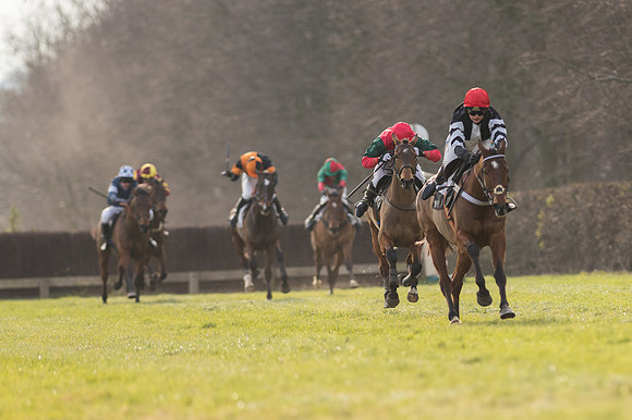 Race 5 - Restricted Race (70 of 98).jpg