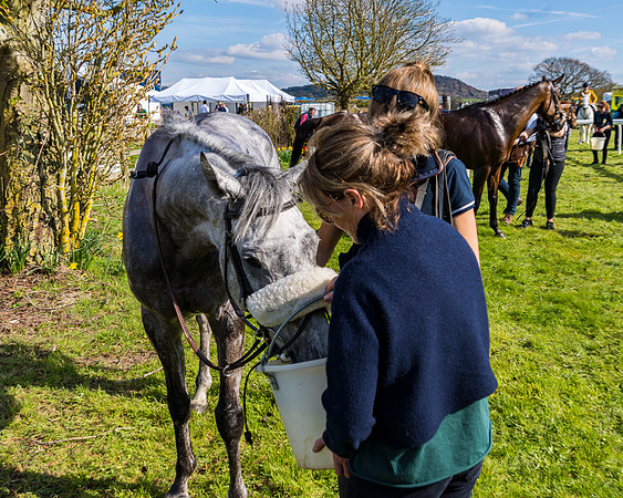 Race 4 - The Warehouse Reit Mixed Open Race  (106 of 124)