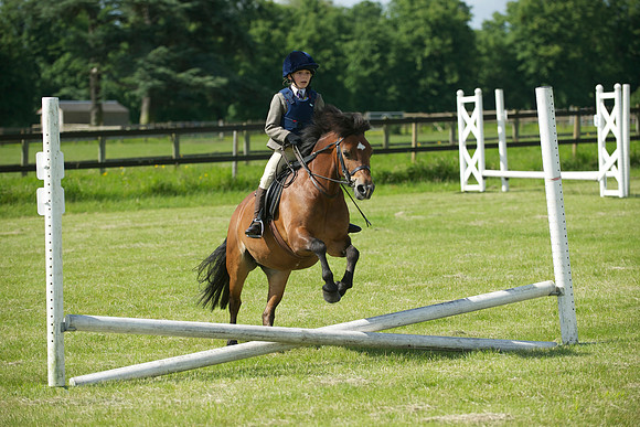 SOHS PC Summer Show at BCA 17th June 2012