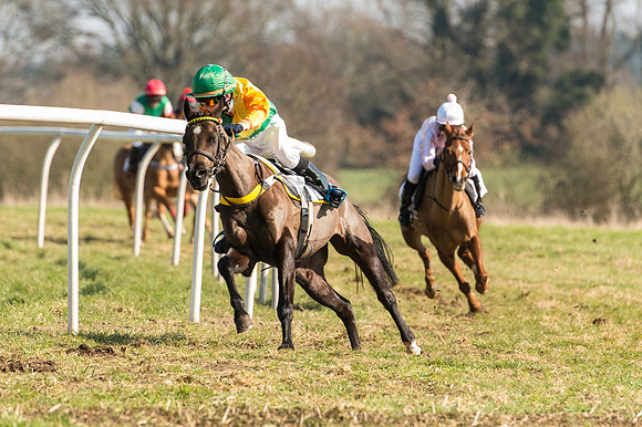 Pony Race 2 - 138 -  (15 of 28).jpg