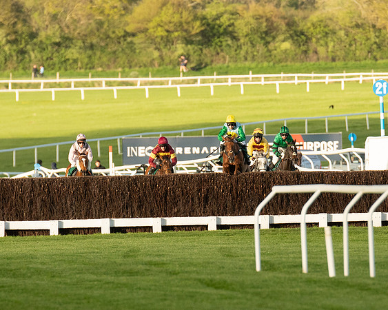 Race 5 - Mares Open  (92 of 329)