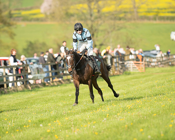 Race 7 - Maiden  (92 of 113)