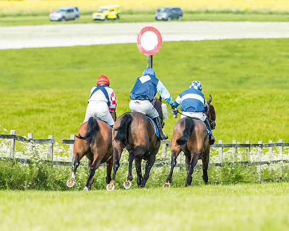 Race 4 - Mixed Open  (320 of 461)