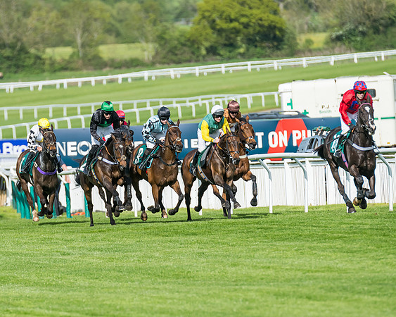 Race 1 - Open Hunter Chase 2 Miles (94 of 212)