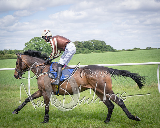 Race 1 - The owner-trainer Conditions race (27 of 118)