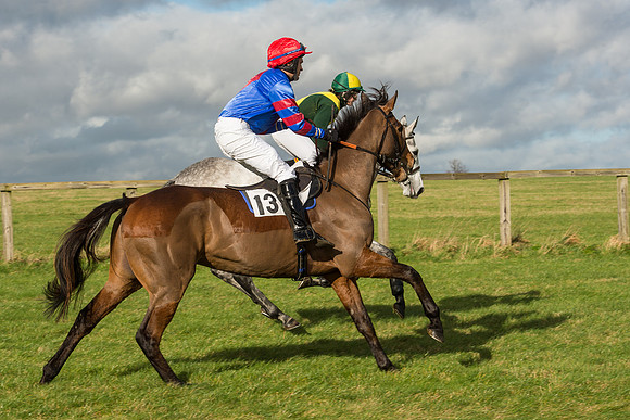 Race 2 - Young Horse Maiden (19 of 110).jpg