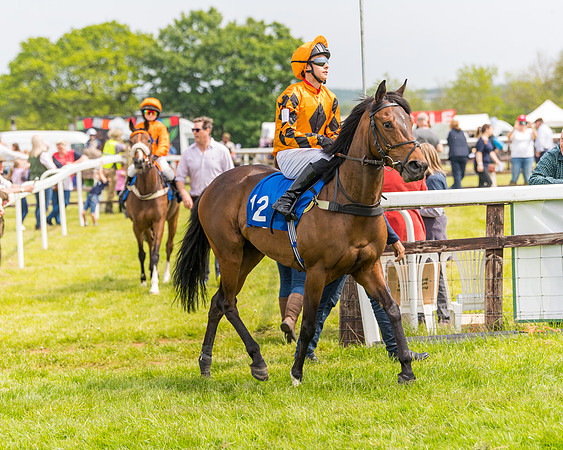 Pony Race 2 - 148cm (16 of 142)