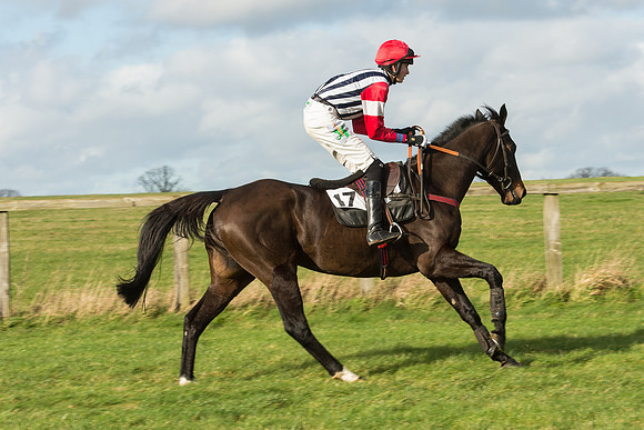 Race 3 - PPORA Members Novice Riders (27 of 84).jpg
