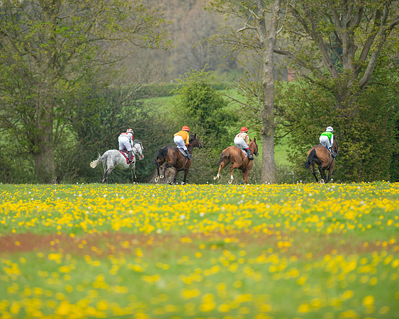 Ponies and Side saddle (55 of 69)