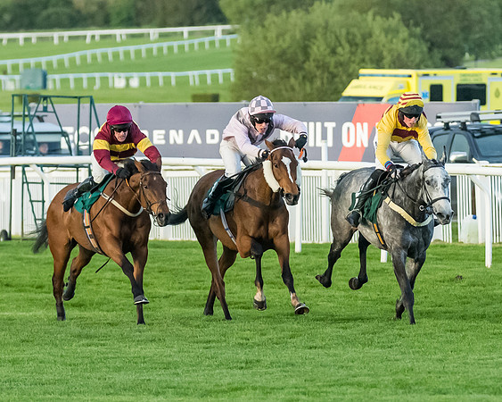 Race 5 - Mares Open  (120 of 329)