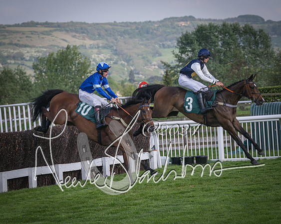 Race 2 - The Venatour sports travel intermediate point to point hunters’ steeplechase 5 year olds and over 3m2f (39 of 163)