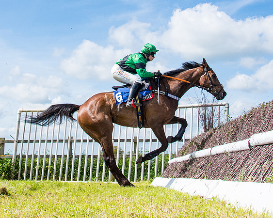 Race 3 - The Ladies open (63 of 104)