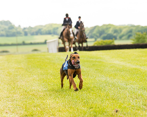 Draghounds Race (164 of 212)