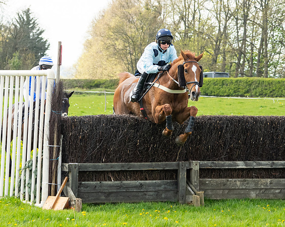 Race 2 - Veteran Horse  (59 of 82)