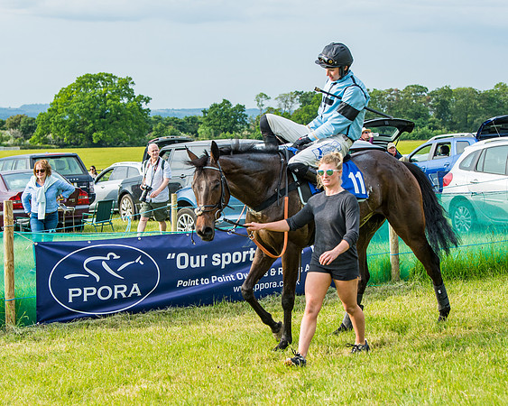 Race 6 - Open Maiden (267 of 346)