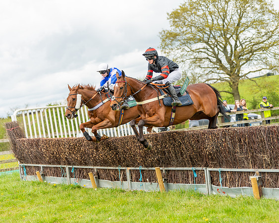 Race 2 - ROR and veteran Horse Conditions race (16 of 77)