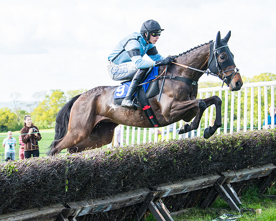 Race 5 - 2m5f Maiden (59 of 144)