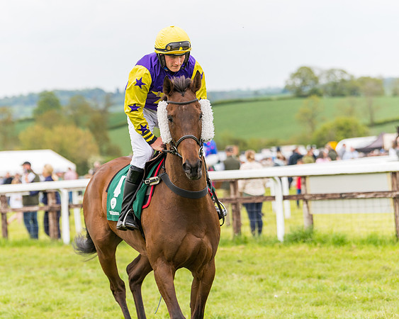 Race 7 - Veteran Horse conditions (66 of 244)