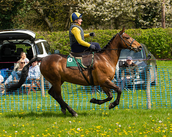 Ponies and Side saddle (69 of 69)