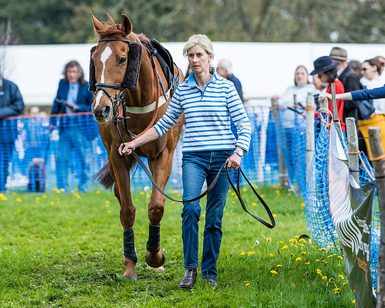 Race 2 - Veteran Horse  (14 of 82)