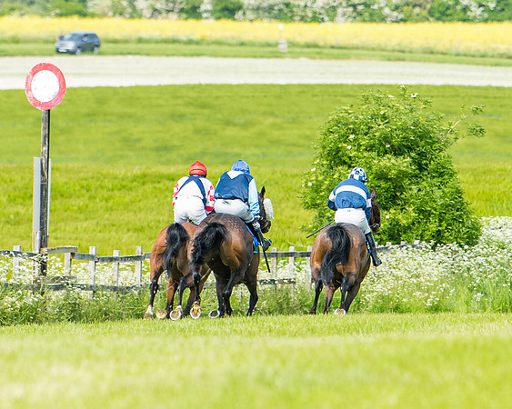 Race 4 - Mixed Open  (332 of 461)