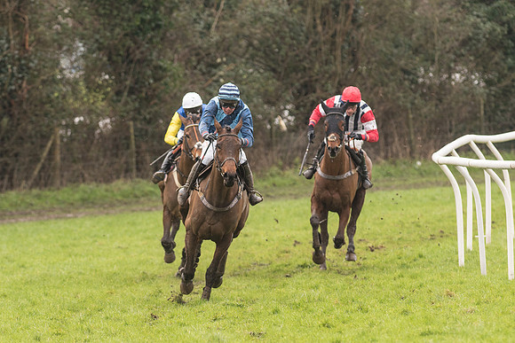 Race 1 - Young Horse Maiden (31 of 50).jpg