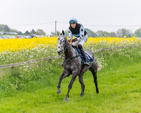 Race 6 - The Maiden [NWFAA] (31 of 143)