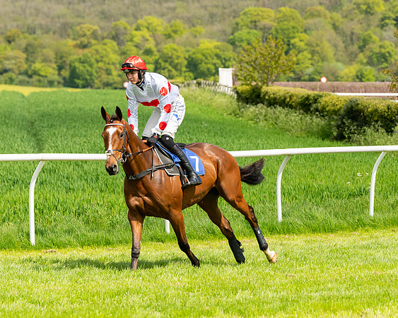 Race 1 - The Condiitions race (17 of 123)