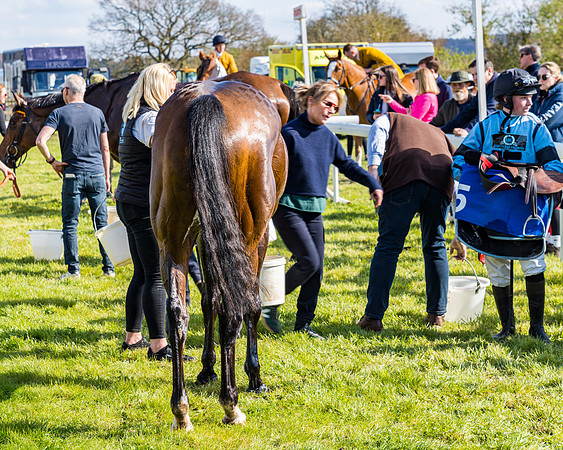 Race 4 - The Warehouse Reit Mixed Open Race  (102 of 124)