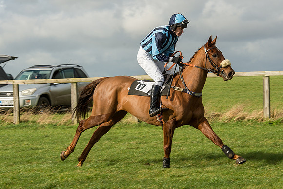 Race 2 - Young Horse Maiden (26 of 110).jpg