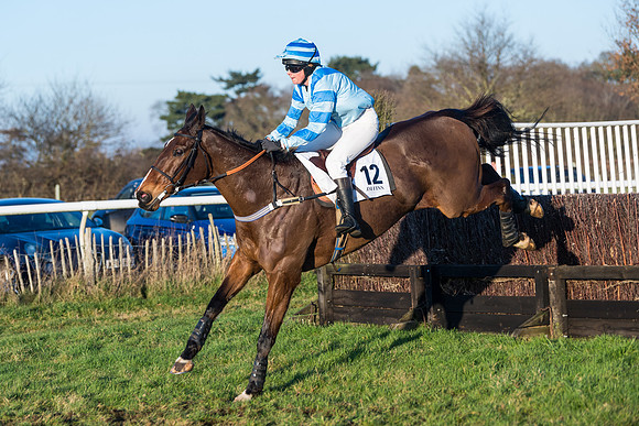 Race 5 - Ladies Open  (129 of 130)