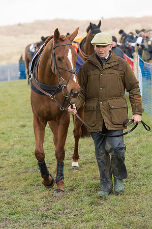 Race 1 - Div 2 - Young Horse Maiden (12 of 122).jpg