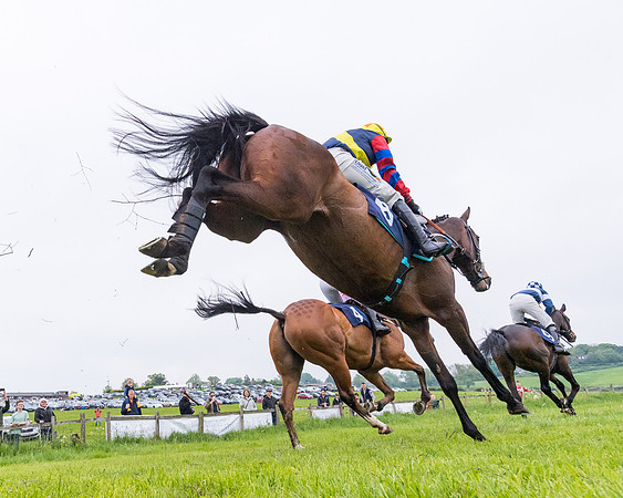Race 4 - The Ladies Open (59 of 107)