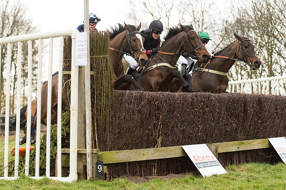Race 2 - PPORA Novice riders  (147 of 186).jpg