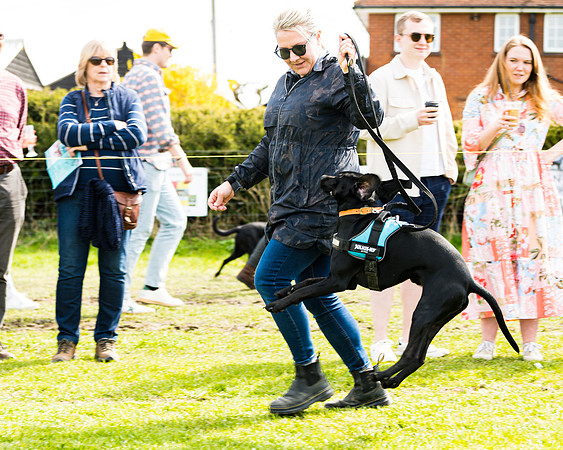 Dog show etc (51 of 157)