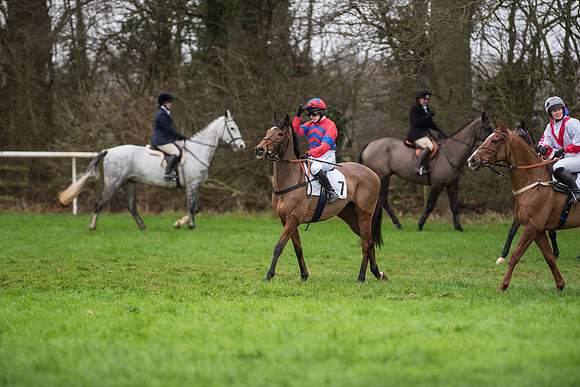 Race 5 - Ladies Open Race (20 of 119).jpg