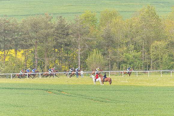 Race 2 - Owner-Trainer Conditions  (66 of 208)