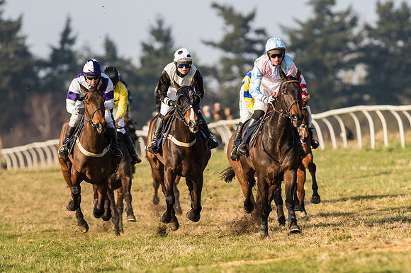 Race 5 - Restricted Race (37 of 64).jpg