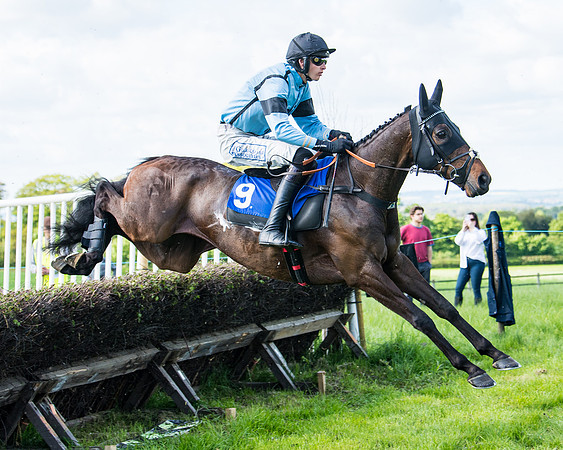 Race 5 - 2m5f Maiden (62 of 144)