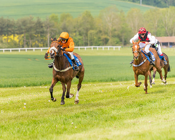 Pony Race 2 - 148cm (84 of 142)