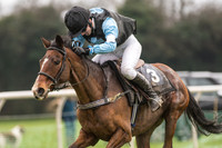 Pony Race 3 -  (20 of 20).jpg