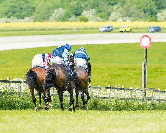 Race 4 - Mixed Open  (317 of 461)
